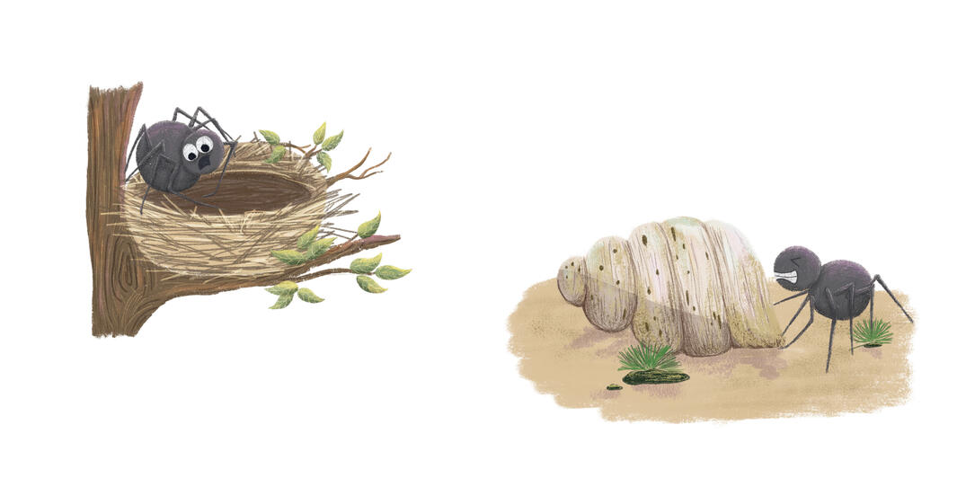 New Nest