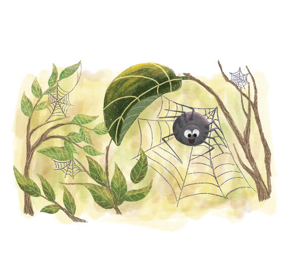 New Nest